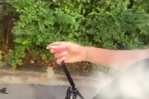 卡里乌斯老婆一身清凉装在街边遛狗，这小博美好可爱呀